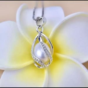 FREE Shipping on company website